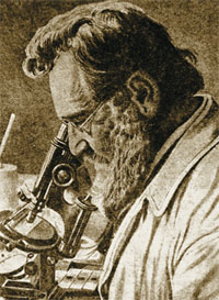 Илья Мечников (1845—1916).