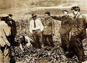 Т.Д. Лысенко (второй справа) осматривает посадки картофеля «яровизированными» клубнями на огородах рабочих шахты им. Кагановича (1935)