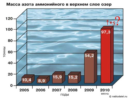 Цена красивой обертки