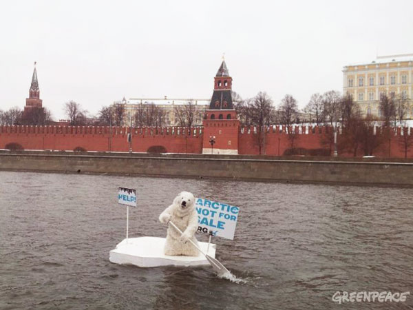 Белый медведь на Москва-реке
