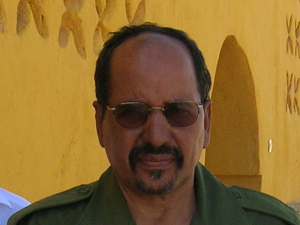 Мухаммед Абдель-Азиз