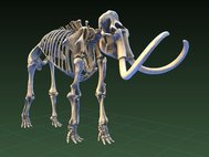 3D-модель скелета мамонта из Национального музея естественной истории