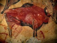 Рисунок бизона в пещере Альтамира