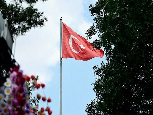 В Стамбуле задержали не менее 40 подозреваемых в связях с ИГ иностранцев