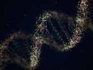 Компьютерная модель спирали ДНК