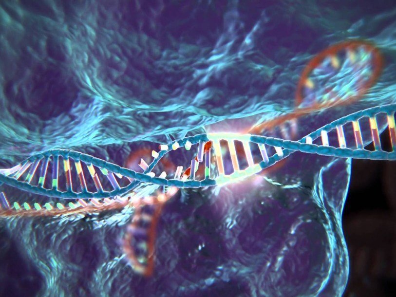 Учёные из Китая хотят лечить рак с помощью изменения генома