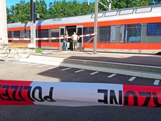 Нападение на пассажиров поезда в Швейцарии совершил «не беженец» — милиция
