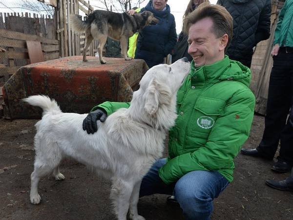 В Государственную думу внесут законодательный проект о блокировке живодерских видео в глобальной паутине В Государственную думу внесут законодательный проект о блокировке живодерских видео в глобальной паутине