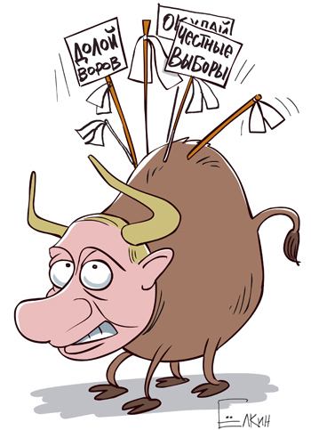 http://www.polit.ru/media/photolib/2012/06/24/putinbull277.jpg