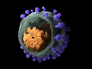 3D-модель вируса иммунодефицита обезьян