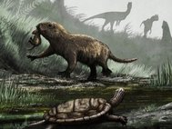 Фауна мезозоя (сверху вниз): Dilophosaurus, Kayentatherium, и Kayentachelys